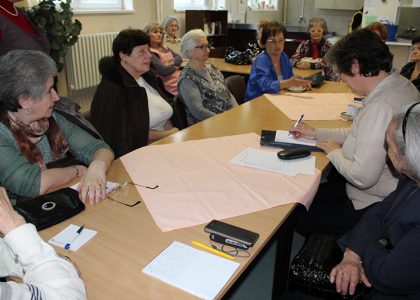 Izazovi življenja žena u novobeogradskim staračkim domaćinstvima