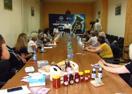 Život žena u selima Dragačeva i Trstenika