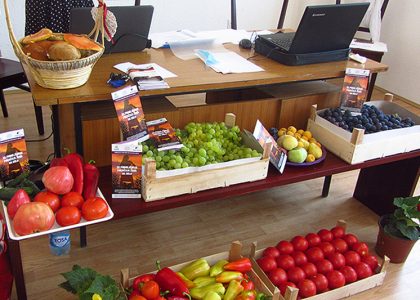 Podrška ženama iz seoskih sredina tokom epidemije COVID 19